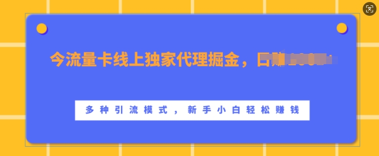 流量卡线上独家代理掘金，日入1k+ ，多种引流模式，新手小白轻松上手【揭秘】-数码之翼