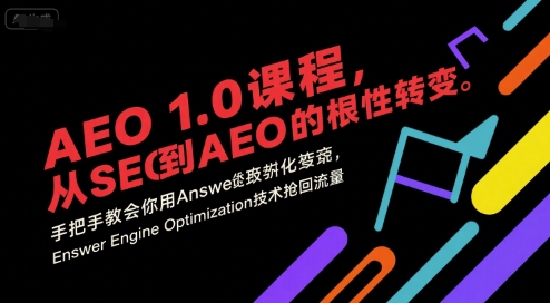 AEO 1.0 课程，从SEO到AE0的基命性转变，手把手教会你用AnswerEngineOptimization技术抢回流量(更新)-数码之翼