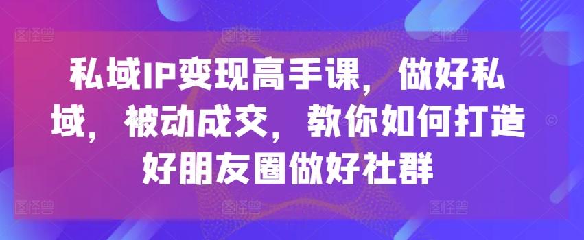 私域IP变现高手课，做好私域，被动成交，教你如何打造好朋友圈做好社群-数码之翼