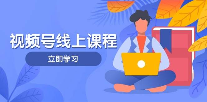 视频号实战课程，轻IP打造与运营技巧，掌握核心方法与策略-数码之翼