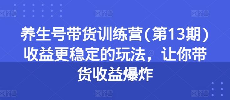 养生号带货训练营(第13期)收益更稳定的玩法，让你带货收益爆炸-数码之翼