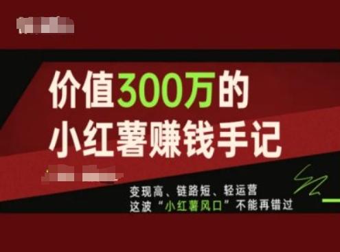 价值300万的小红书赚钱手记，变现高、链路短、轻运营，这波“小红薯风口”不能再错过-数码之翼