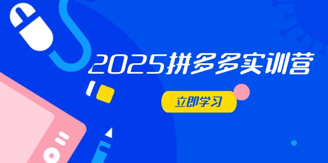 2025拼多多实训营:深度剖析运营关键,助力电商人快速提升-数码之翼