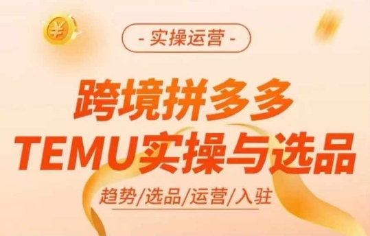 跨境拼多多TEMU实操与选品，多多temu跨境选品运营实操-数码之翼