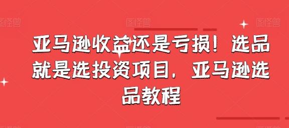 亚马逊收益还是亏损！选品就是选投资项目，亚马逊选品教程-数码之翼