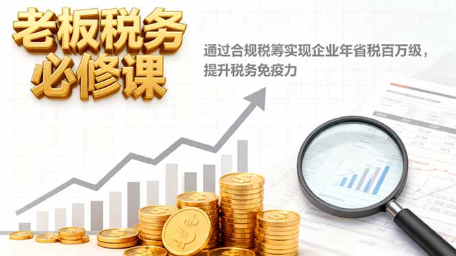 老板税务必修课,通过合规税筹实现企业年省税百万级,提升税务免疫力-数码之翼