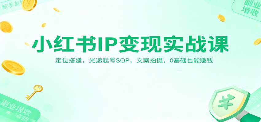 小红书IP变现实战课:定位搭建,光速起号SOP,文案拍摄,0基础也能赚钱-数码之翼