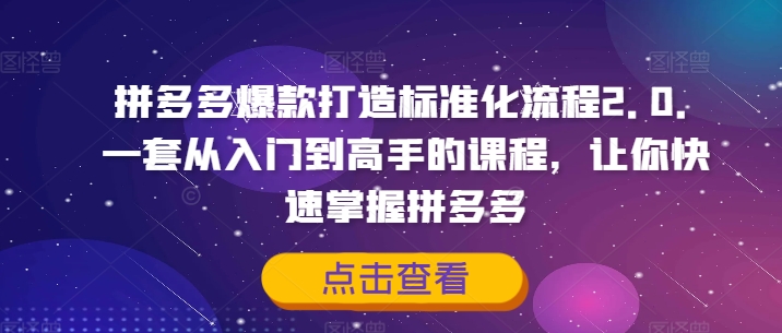 拼多多爆款打造标准化流程2.0，一套从入门到高手的课程，让你快速掌握拼多多-数码之翼