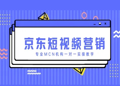 京东短视频营销项目，专业MCN机构一对一实操教学-数码之翼