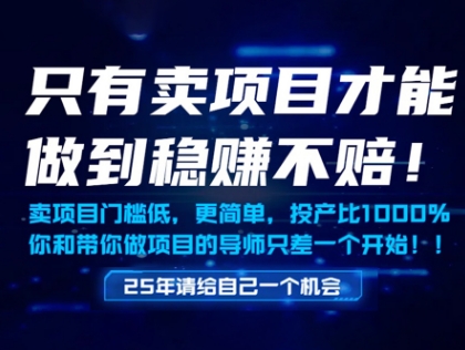只有卖项目才能做到稳挣不赔，门槛低，更简单，你也可以年入百个W【揭秘】-数码之翼