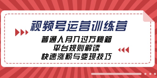 视频号运营训练营：普通人月入过万秘籍，平台规则解读，快速涨粉与变现-数码之翼