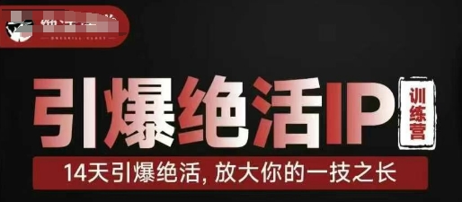 引爆绝活IP训练营，14天引爆绝活，放大你的一技之长-数码之翼