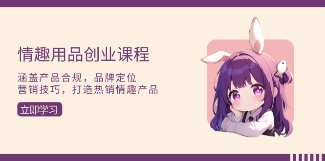 情趣用品创业课程：涵盖产品合规，品牌定位，营销技巧，打造热销情趣产品-数码之翼