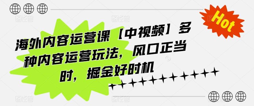 海外内容运营课【中视频】多种内容运营玩法,风口正当时,掘金好时机-数码之翼
