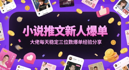 小说推文新人爆单大佬每天稳定三位数爆单经验分享-数码之翼