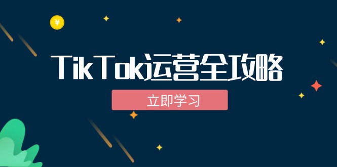TikTok实战运营全攻略：从下载软件到变现，抖音海外版实操教程-数码之翼