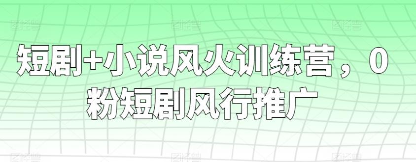 短剧+小说风火训练营，0粉短剧风行推广-数码之翼
