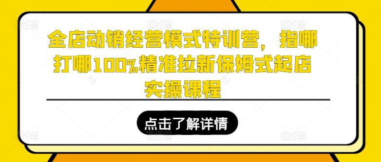 全店动销经营模式特训营,指哪打哪100%精准拉新保姆式起店实操课程-数码之翼