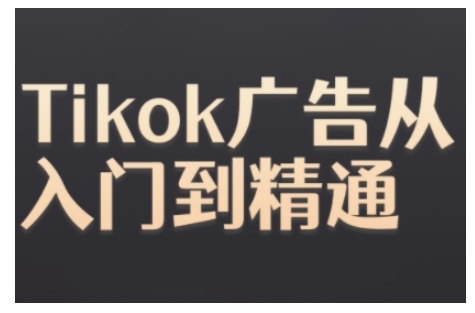 Tiktok Ads实操教程，Tiktok广告从入门到精通-数码之翼