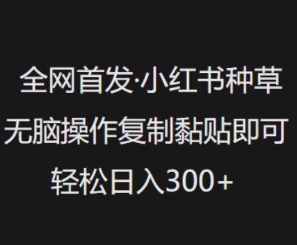 全网首发，小红书种草无脑操作，复制黏贴即可，轻松日入3张-数码之翼