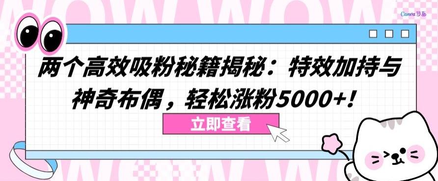 两个高效吸粉秘籍揭秘：特效加持与神奇布偶，轻松涨粉5000+【揭秘】-数码之翼