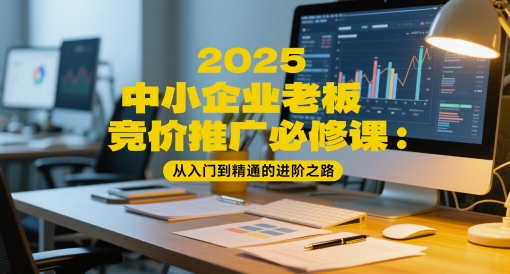 2025中小企业老板竞价推广必修课：从入门到精通的进阶之路-数码之翼