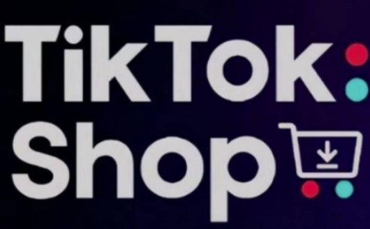 TikTokShop跨境电商0-1实战，手把手教你低成本启动海外市场-数码之翼