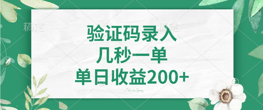 验证码录入，几秒一单，单日收益200+-数码之翼