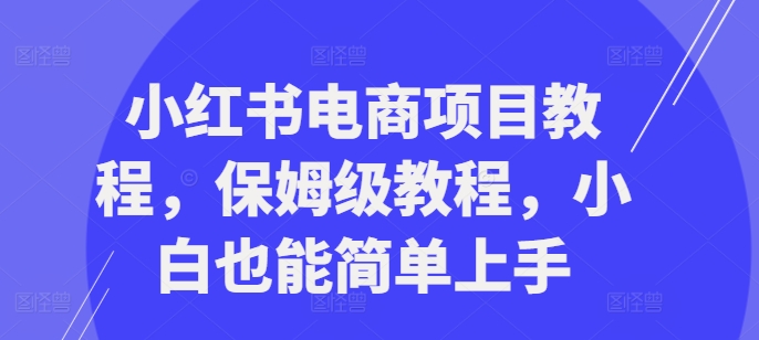 小红书电商项目教程，保姆级教程，小白也能简单上手-数码之翼