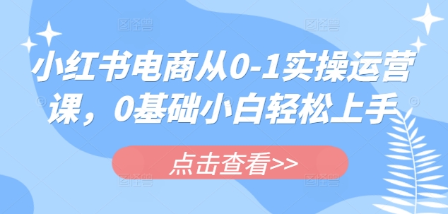 小红书电商从0-1实操运营课，0基础小白轻松上手-数码之翼
