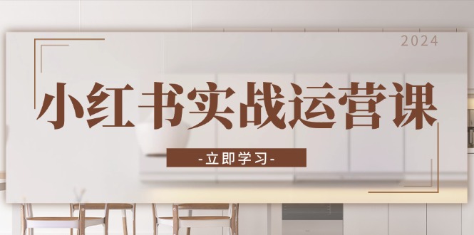 小红书实战运营课：从开通店铺到直播话术，打造爆款笔记与高效直播-数码之翼