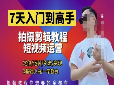 7天入门到高手，短视频剪辑运营高手课，定位 运营 引|流 变现，0基础小白一学就会-数码之翼