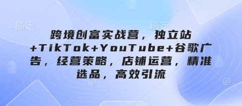 跨境创富实战营，独立站+TikTok+YouTube+谷歌广告，经营策略，店铺运营，精准选品，高效引流-数码之翼