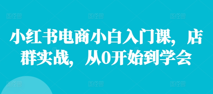 小红书电商小白入门课，店群实战，从0开始到学会-数码之翼