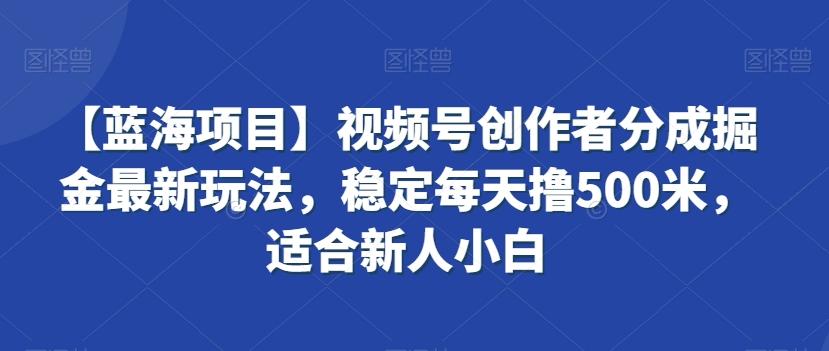 【蓝海项目】视频号创作者分成掘金最新玩法,稳定每天撸500米,适合新人小白【揭秘】-数码之翼