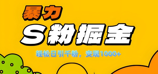 单人单机日引千粉,变现1k+,S粉流量掘金计划攻略【揭秘】-数码之翼