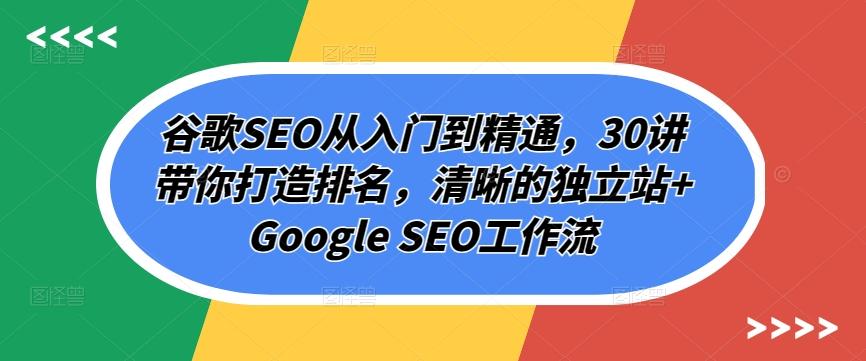 谷歌SEO从入门到精通，30讲带你打造排名，清晰的独立站+Google SEO工作流-数码之翼