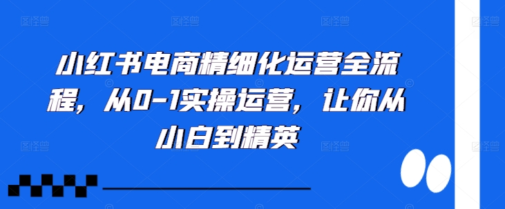 小红书电商精细化运营全流程，从0-1实操运营，让你从小白到精英-数码之翼