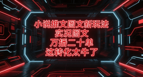小说推文图文新玩法，实况图文，万播二十单，这转化太牛了！-数码之翼