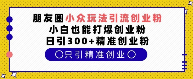 朋友圈小众玩法引流创业粉，小白也能打爆创业粉，日引300+精准创业粉【揭秘】-数码之翼