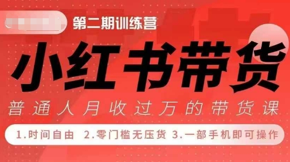 小Red书带货42天训练营 2.0版，宝妈+自由职+上班族+大学生，提高副业收入的大红利项目-数码之翼