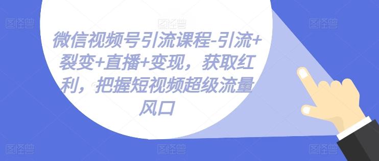 微信视频号引流课程-引流+裂变+直播+变现，获取红利，把握短视频超级流量风口-数码之翼