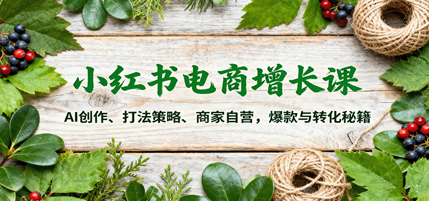 小红书电商增长课：AI创作、打法策略、商家自营，爆款与转化秘籍-数码之翼