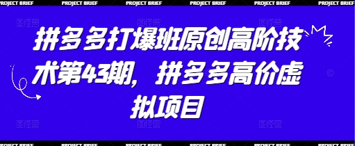 拼多多打爆班原创高阶技术第43期,拼多多高价虚拟项目-数码之翼