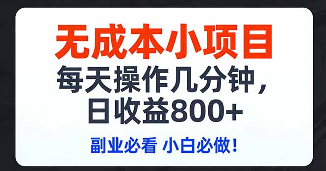 无成本小项目,每天操作几分钟,日收益800+ 副业必看 小白必做!-数码之翼