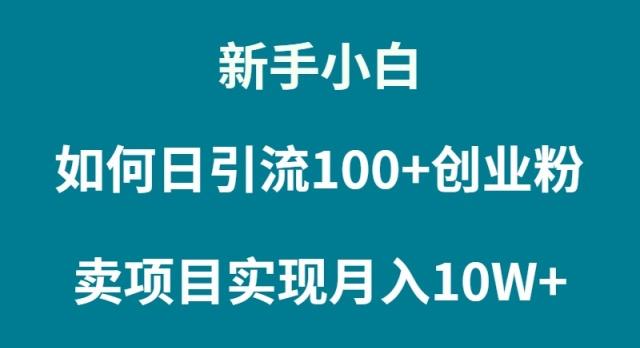 (9556期)新手小白如何通过卖项目实现月入10W+-数码之翼