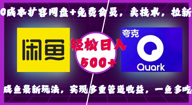 0成本扩容网盘+免费会员，卖技术，拉新，咸鱼最新玩法，实现多重管道收益，一鱼多吃，轻松日入500+-数码之翼
