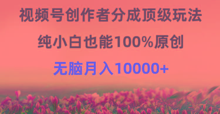 (9608期)视频号创作者分成顶级玩法，纯小白也能100%原创，无脑月入10000+-数码之翼
