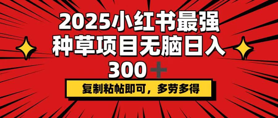 2025小红书最强种草项目，无脑日入300+，复制粘帖即可，多劳多得-数码之翼