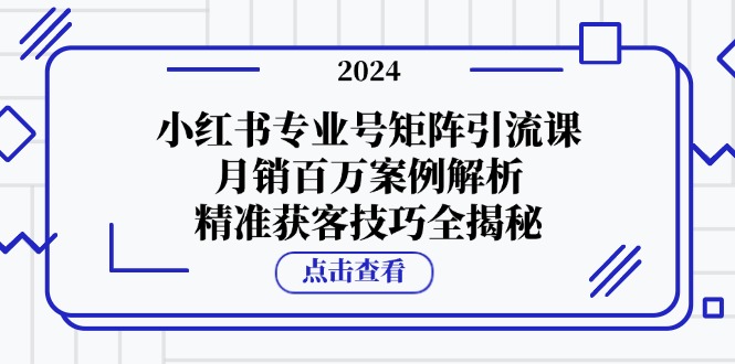 小红书专业号矩阵引流课，月销百万案例解析，精准获客技巧全揭秘-数码之翼